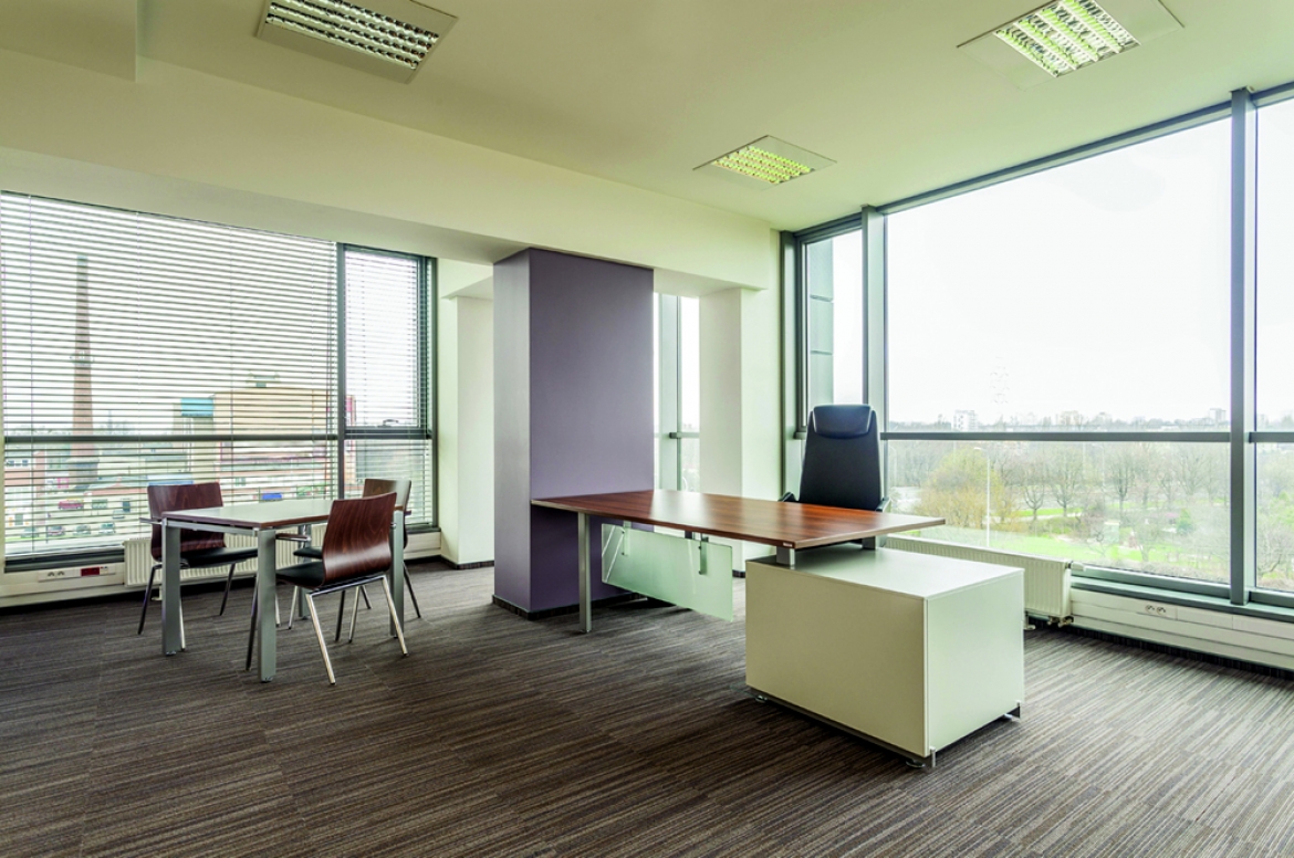 How to Usher Your Office into the Eco-Friendly Era | GraFitz Group Advertising Agency