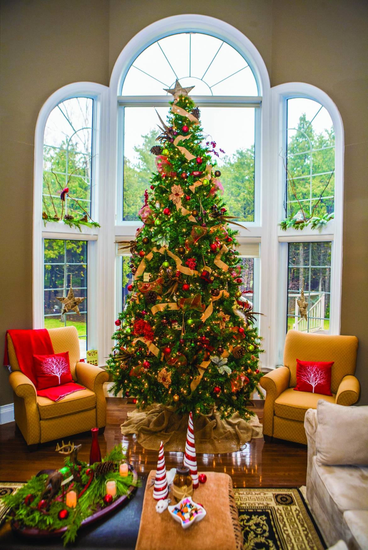 Fresh Christmas Tree Care | GraFitz Group Advertising Agency