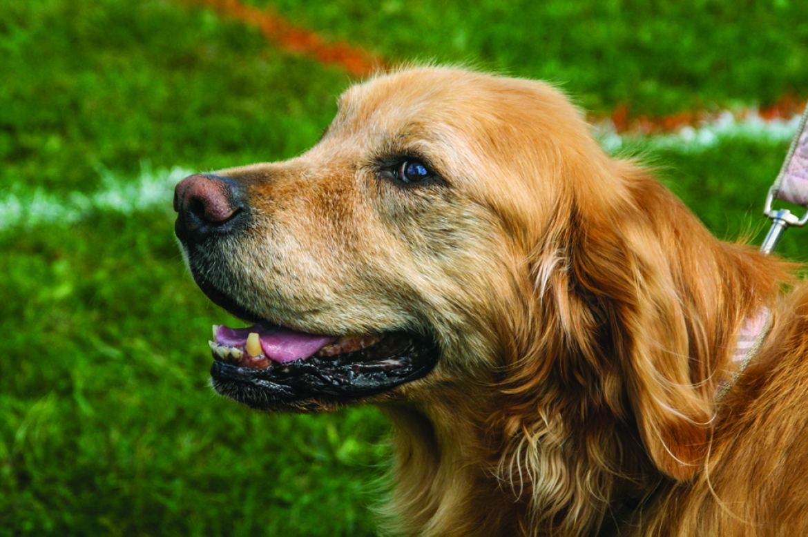 Advice for a Successful Career Change | GraFitz Group Advertising Agency